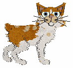 Calluna/Ferality's Cooking Mama — “Carrotcake”