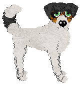 Profile image of Cirrutopia/FK's Sugar Rush Serenade