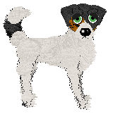 Profile image of Cirrutopia/FK's Sugar Rush Serenade