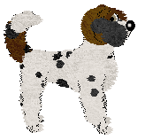 Cirrutopia/Witz's Sprinkles with Joy — “Conjure”