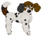 Cirrutopia/Witz's Sprinkles with Joy — “Conjure”