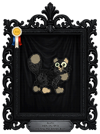 Profile image of Chi/Dh's Orbiting the Dinner Bowl