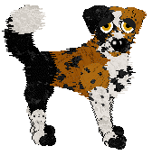 Gizmo/Dh's Wildfire in the Marsh — “Fen”