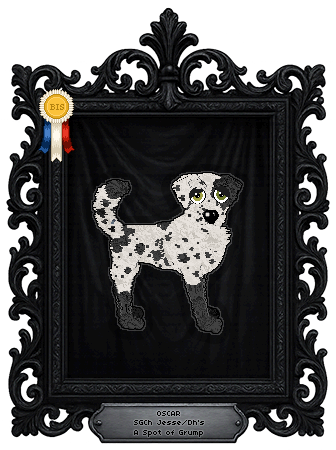 Profile image of Jesse/Dh's A Spot of Grump