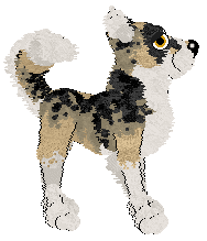 AK/Dh's Sunset Canyon — “Sandstone”