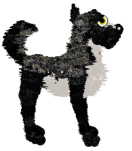 Jaded/Dh's The Dog Formerly Known As — “Prince”