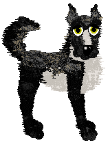 Jaded/Dh's The Dog Formerly Known As — “Prince”