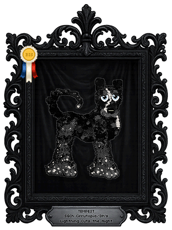 Profile image of Cirrutopia/Dh's Lightning Cuts the Night