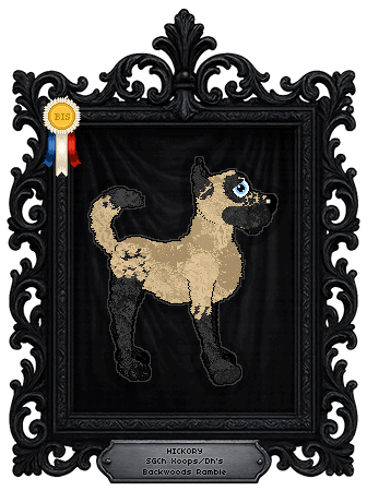 Profile image of Xoops/Dh's Backwoods Ramble