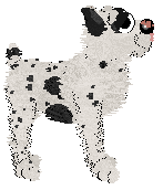 Poppyhill's Writing in Dogspeak — “Colby”