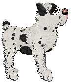 Profile image of Poppyhill's Writing in Dogspeak