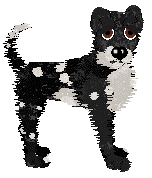 Profile image of Sz's Prunus spinosa at Wild Road