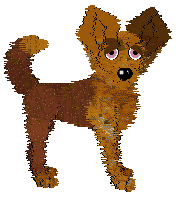 Profile image of Wild Road's Autumn Spices