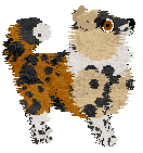 Wild Road's Christopher — “Kipp”