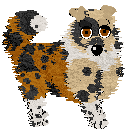 Profile image of Wild Road's Christopher