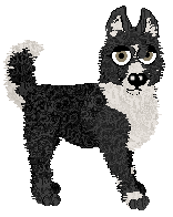 Profile image of Occult's Lacuna Coil at Wild Road