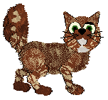 Profile image of EC's Positive Reception at Wild Road