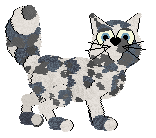 Profile image of Vanilla/Wild Road's Where Flowers Bloom at FK