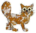 Cirrutopia/AP's Controlled Chaos — “Mayhem”