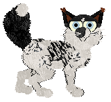 Profile image of Ferality/AP's And A Cherry On top