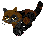 Mockingbird's Wake Up! Wake Up! Give yourself a shake up! Tao — “5th Grader”