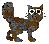 Cirrutopia/AP's Brownie Points — “Brownie”