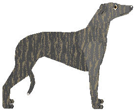 Profile image of Mockingbird's Colour Theory