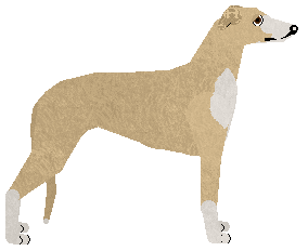 Peregrine Bloom in Blush — “Rose”