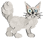 Amphigory's Send Me No Flowers at Mythic Silence — “Tiger Lily”