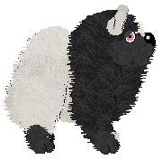 Krunchez/Dh's His Imperial Uncooperativeness — “Cai”