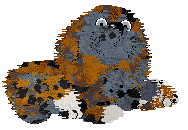 Profile image of Lex/Mockingbird's Toy Deals