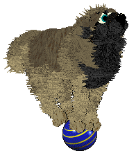 Cirrutopia's Seeds of Anarchy — “Aniseed”