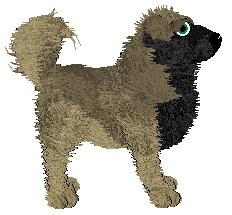 Cirrutopia's Seeds of Anarchy — “Aniseed”