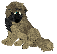 Cirrutopia's Seeds of Anarchy — “Aniseed”