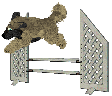 Cirrutopia's Seeds of Anarchy — “Aniseed”