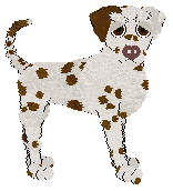 Poppyhill's Woodford Reserve — “Bourbon”