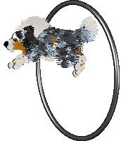 Cirrutopia's Simply Merlevelous at Vanilla XPC — “Minnie”