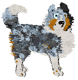 Cirrutopia's Simply Merlevelous at Vanilla XPC — “Minnie”