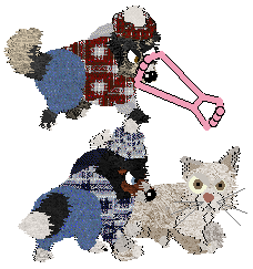 Spellbound's Over the Moon by Midnight — “Marcy”