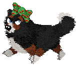 Spellbound's Over the Moon by Midnight — “Marcy”