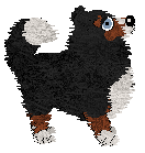 Spellbound's Over the Moon by Midnight — “Marcy”