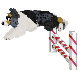 Crystal Rose's Kiss From a Rose — “Rose”