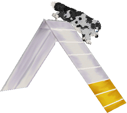 Spellbound's My Girl — “Vada”