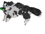 Spellbound's My Girl — “Vada”