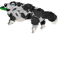 Spellbound's My Girl — “Vada”