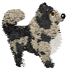 Spellbound's Universally Speaking — “Nolan”