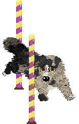 Spellbound's Universally Speaking — “Nolan”