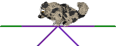 Spellbound's Universally Speaking — “Nolan”