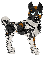 Poppyhill's Patagonian Steppes — “Aimon”