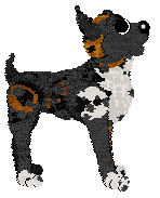 Poppyhill's American Graffiti — “Brimstone”